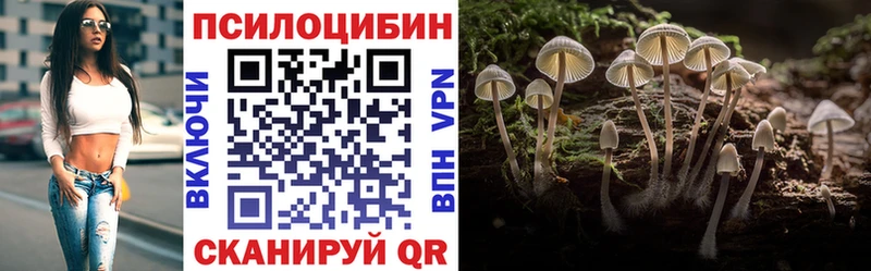 Псилоцибиновые грибы Cubensis  Купить где  Баксан 